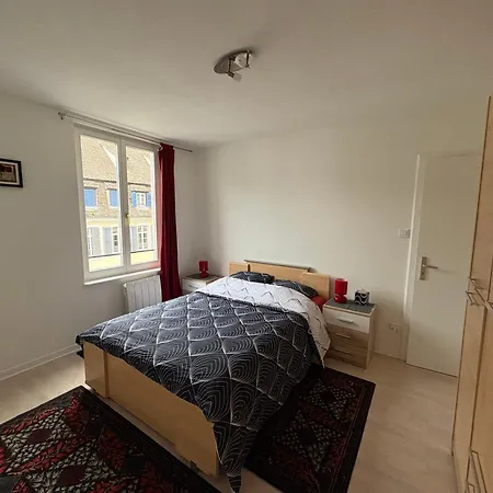Daire 3p 57 M2 Le Coeur De La Krutenau